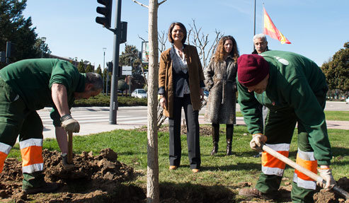 Plantación de más de 20.000 arbustos y árboles para reforestar el municipio