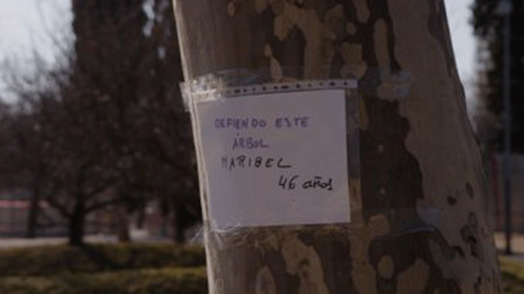 Vecinos de Arganzuela forman una cadena humana en defensa de mil árboles de Madrid Río