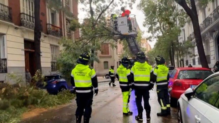 Bomberos de la Comunidad y Ayuntamiento realizan 200 intervenciones por el viento