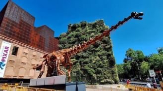 CaixaForum muestar una réplica del esqueleto del mayor dinosaurio conocido