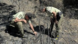 La Comunidad se persona en la causa contra el autor de varios incendios forestales