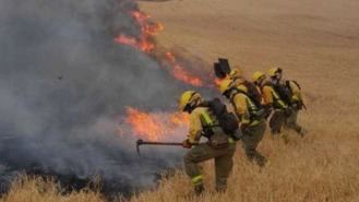Controlado el incendio que ha afectado a 113 hectareas en el entorno del Cerro del Viso