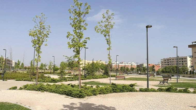 La alcaldesa pide un segundo colegio en Los Molinos ante la 'carencia' de plazas escolares