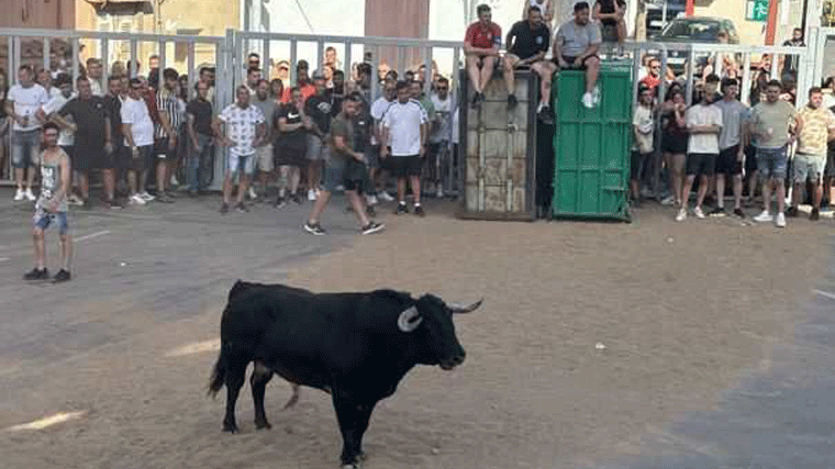 Pacma denuncia en la Guardia Civil la celebración del 'II Toro al Cajón' de Loeches