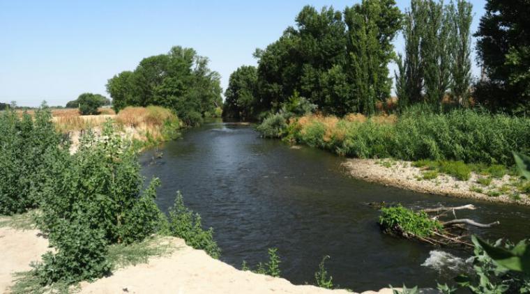 Getafe defiende sus espacios verdes: alegaciones contra un coto de caza en el Parque Regional del Sureste