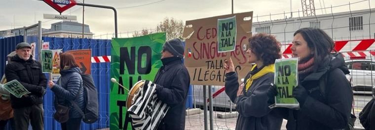 Alertan que la tala de Atocha pone en 'peligro' la declaración de Paisaje de la Luz