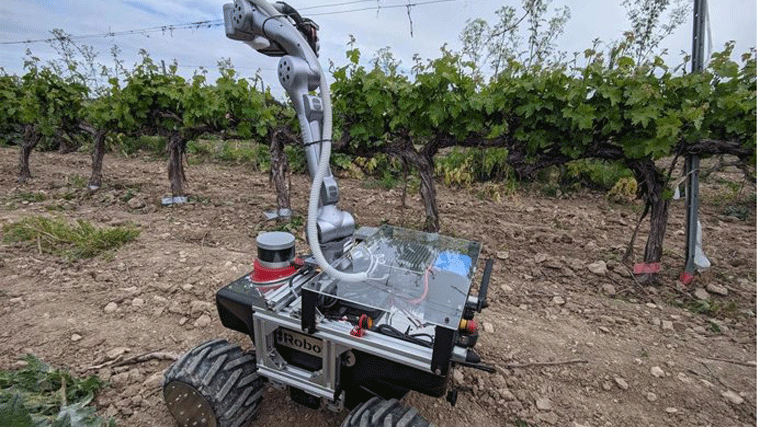 Telefónica y Universidad Politécica desarrollan un proyecto para monitorizar y mejorar la producción de los viñedos